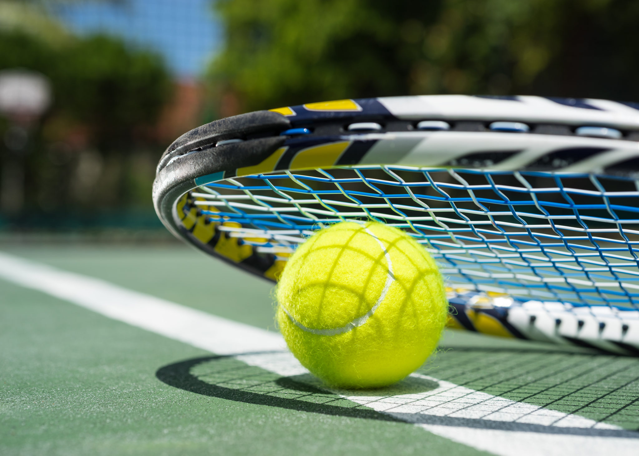 Теннисный корд. Большой теннис. Теннисный корт. Теннисный мяч. Большой теннис ракетка и мяч.